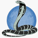 Web-based COBRA Administration